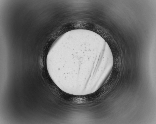 X0000096130755200802151313