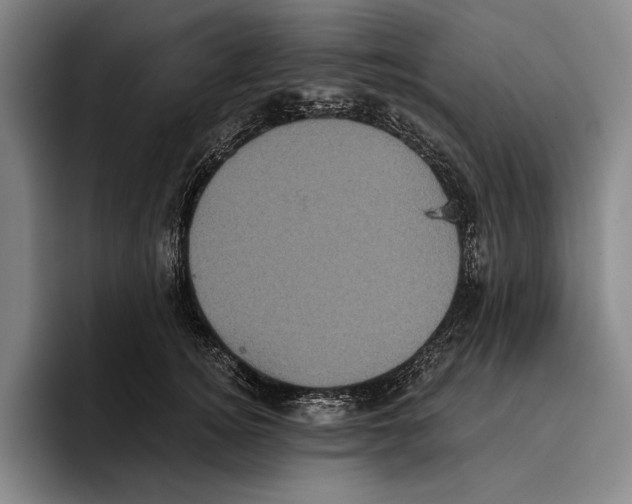 X0000096130756200802151313