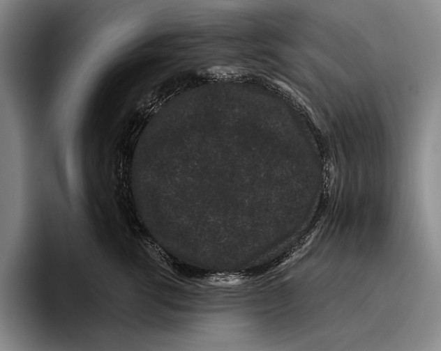 X0000096130762200802151314