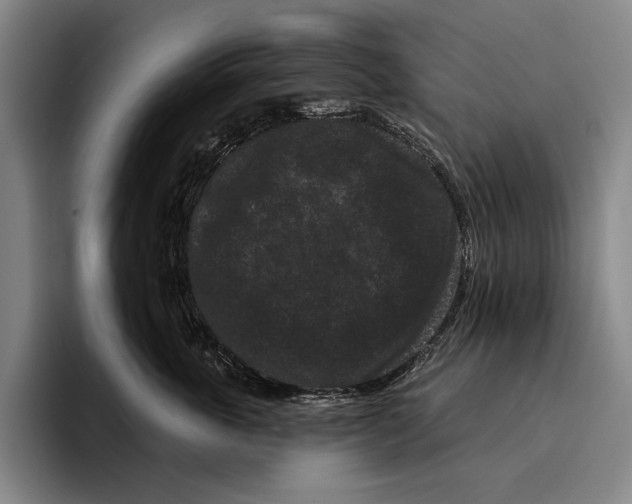 X0000096130763200802151314