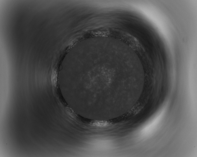 X0000096130767200802151314