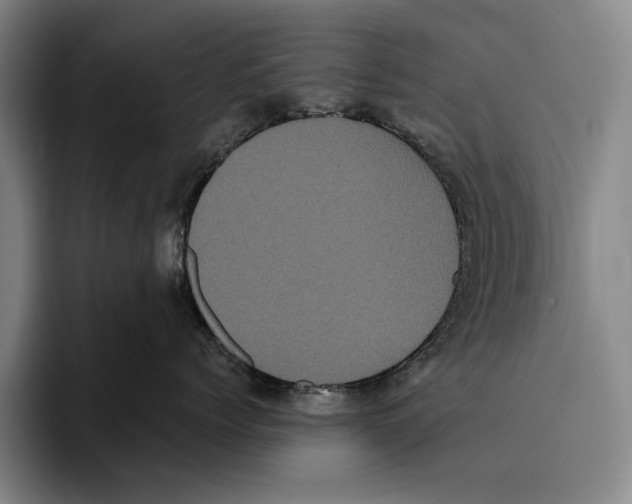 X0000096130768200802151314