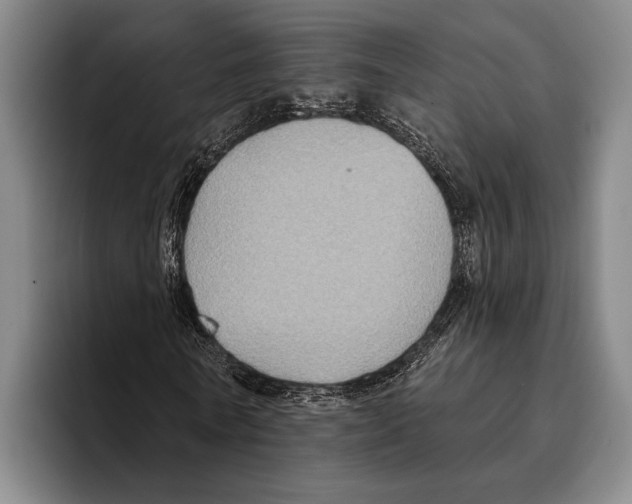 X0000096130770200802151313