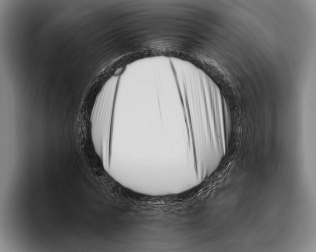 X0000096130776200802151313