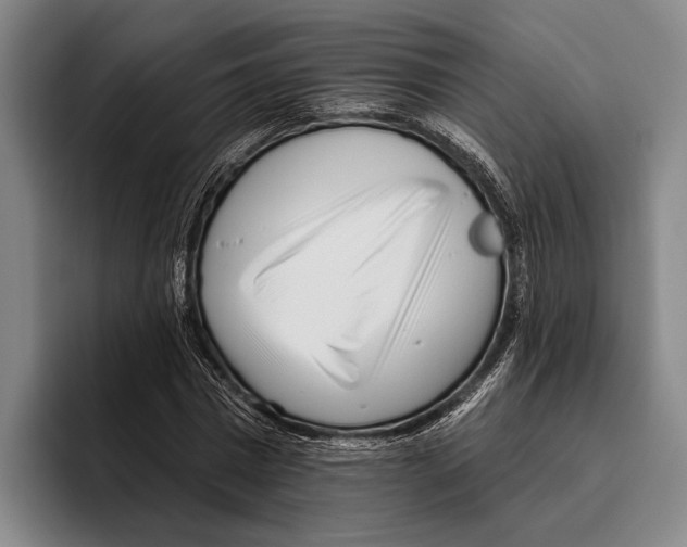 X0000096130777200802151313