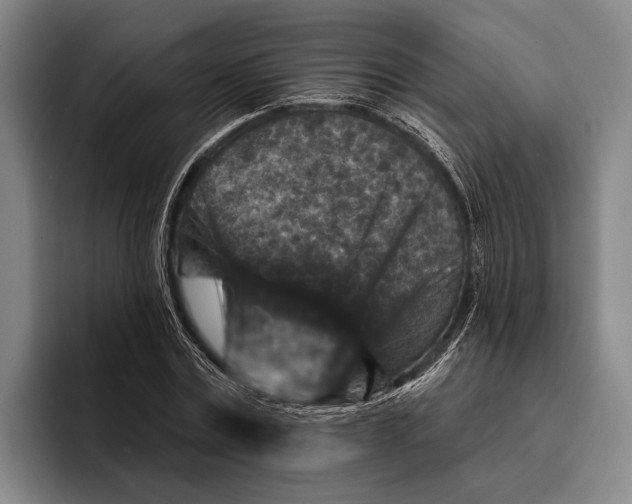 X0000096130779200802151313