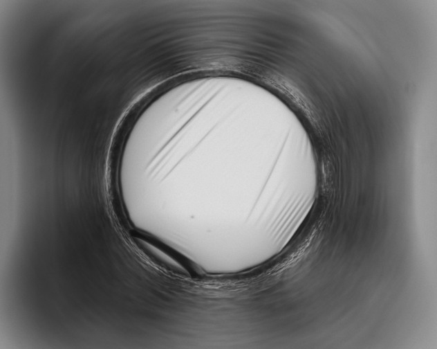 X0000096130780200802151313