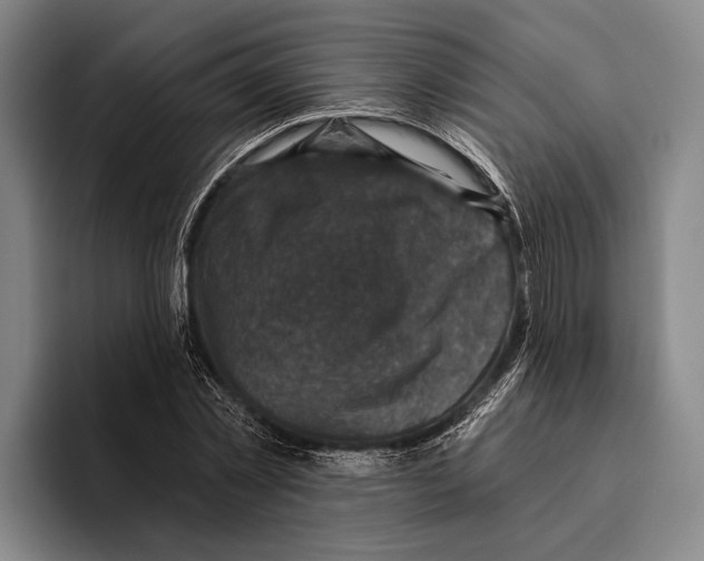 X0000096130781200802151313