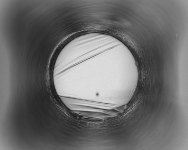 X0000096130784200802151313