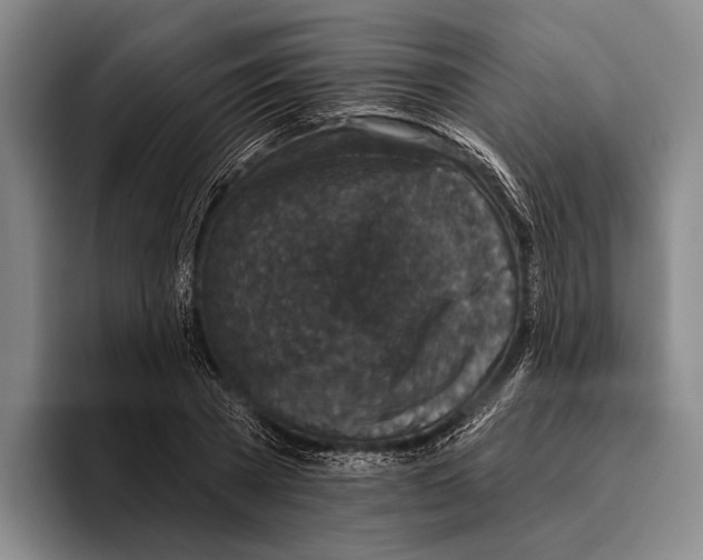 X0000096130785200802151313