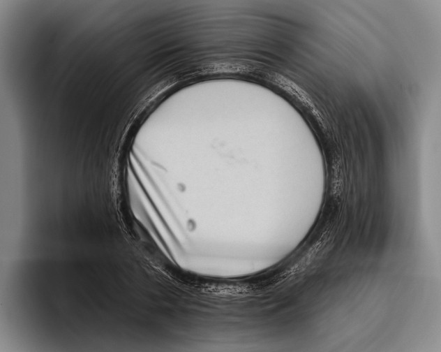 X0000096130786200802151313