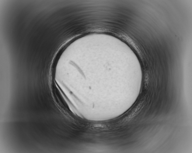 X0000096130787200802151313