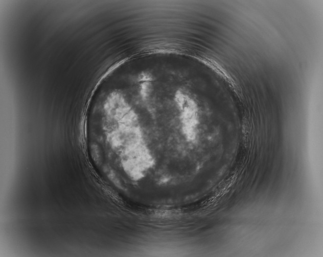 X0000096130790200802151313