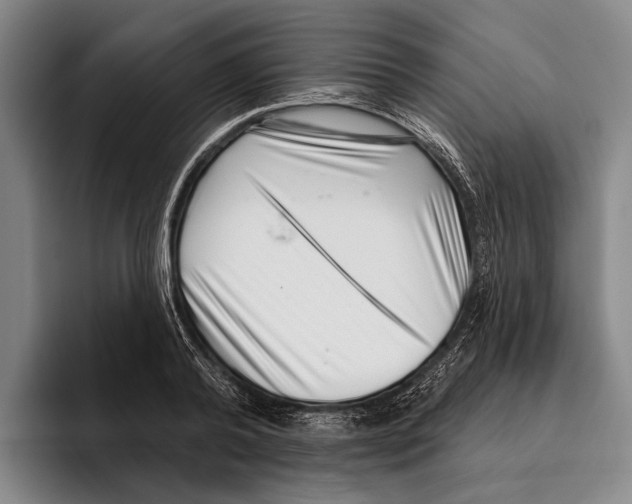 X0000096130792200802151313