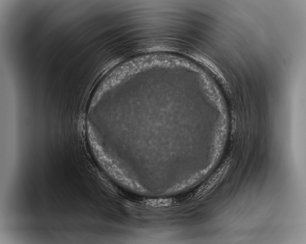 X0000096130793200802151313