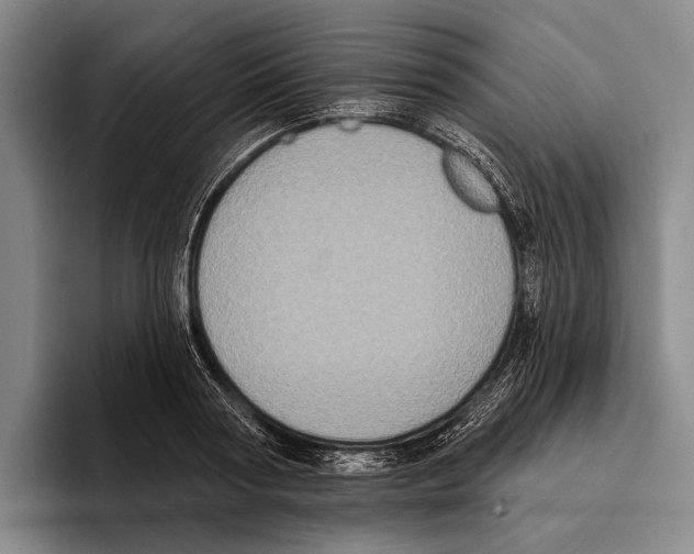 X0000096130794200802151313