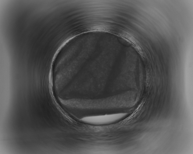 X0000096130796200802151313