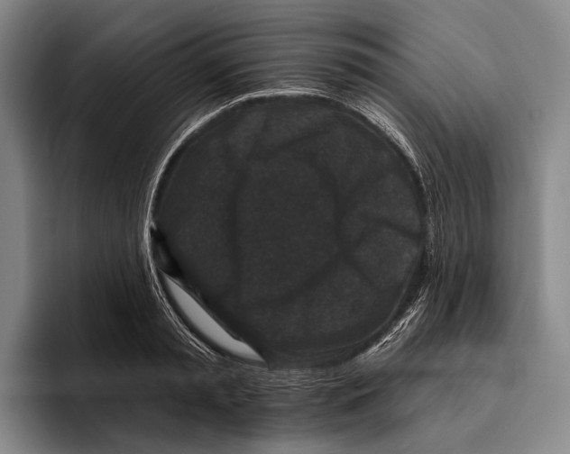 X0000096130797200802151313