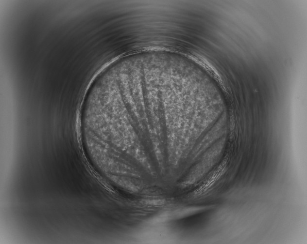 X0000096130798200802151313