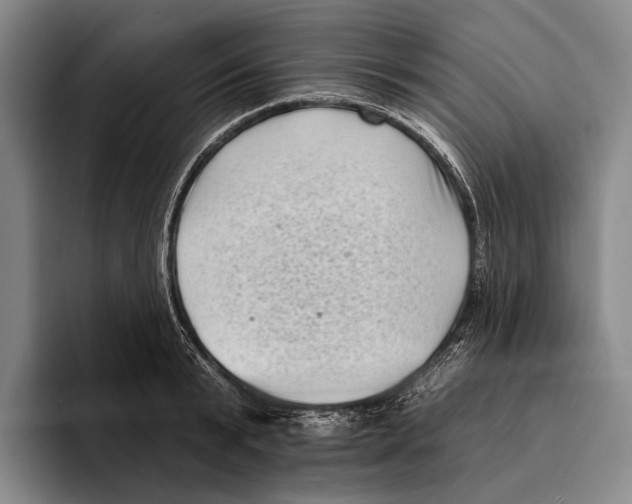 X0000096130799200802151313