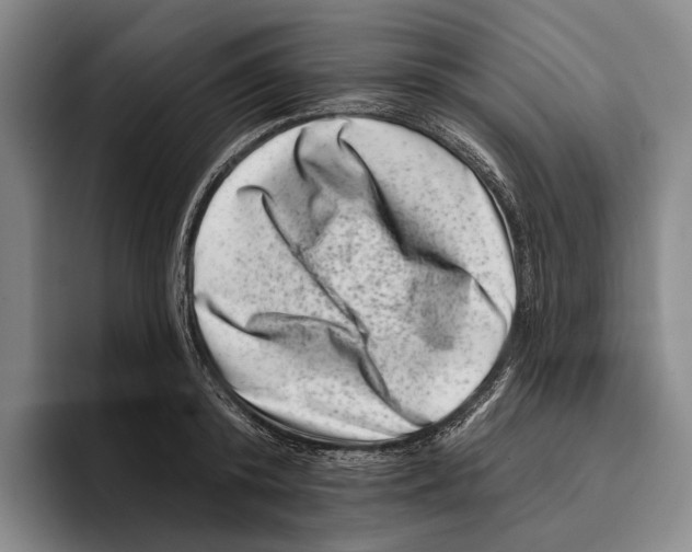 X0000096130800200802151313