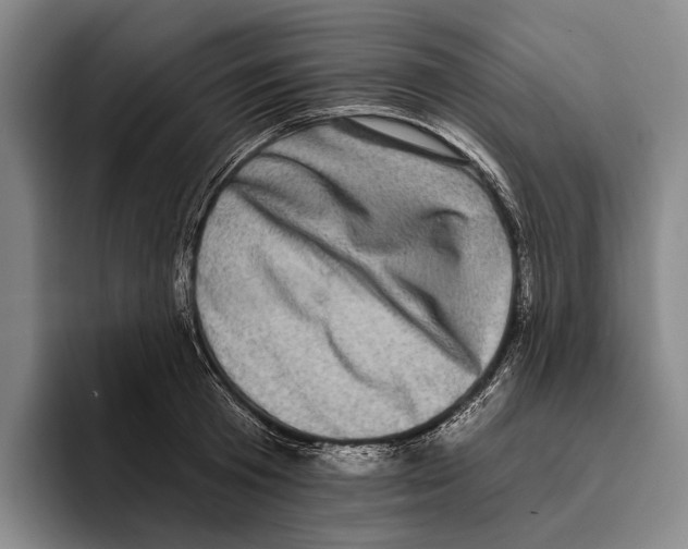 X0000096130801200802151313