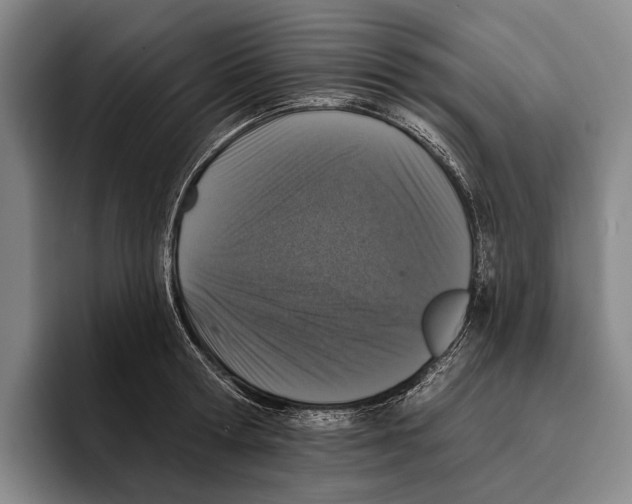 X0000096130802200802151313