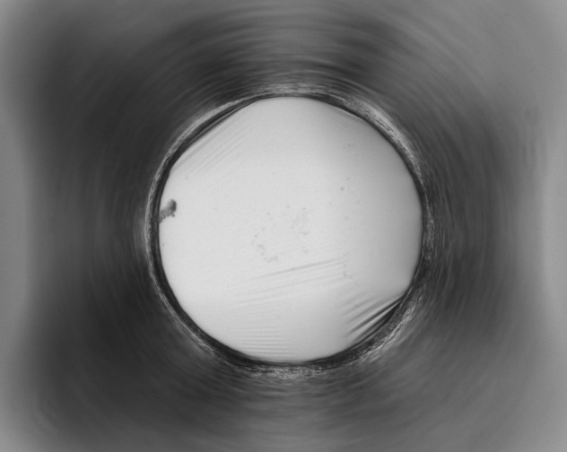 X0000096130803200802151313