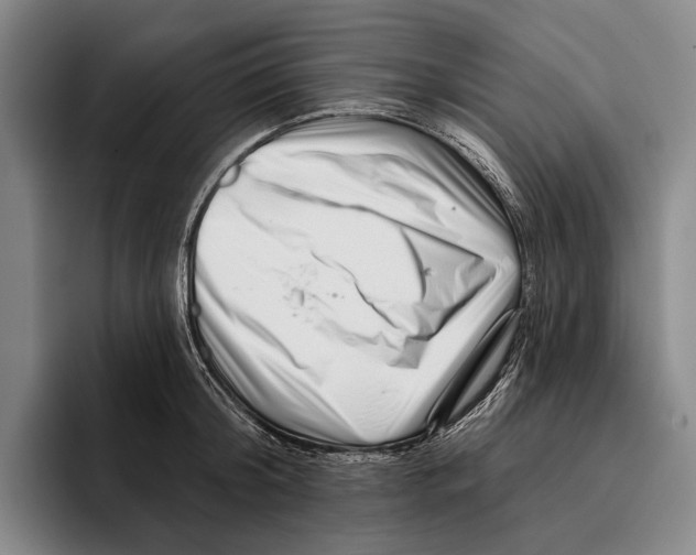 X0000096130804200802151313