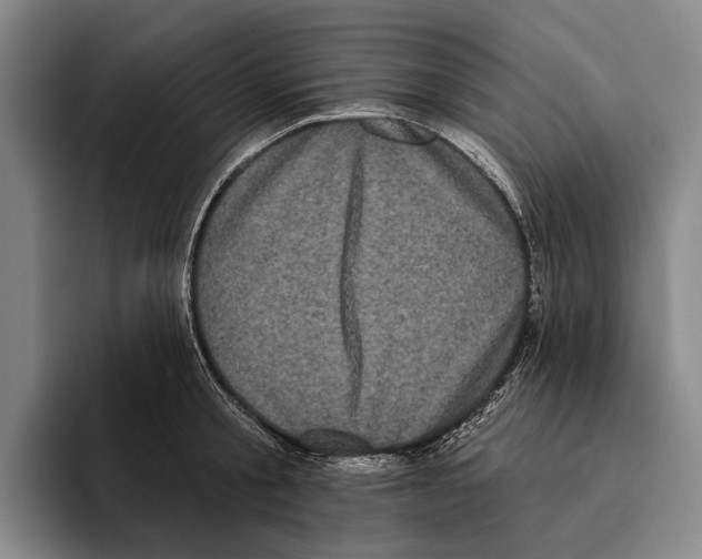 X0000096130805200802151313