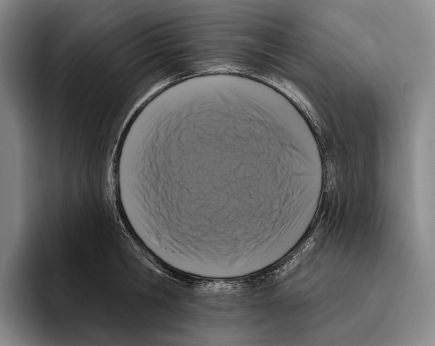 X0000096130806200802151313