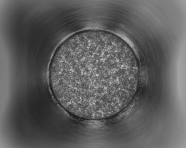 X0000096130807200802151313