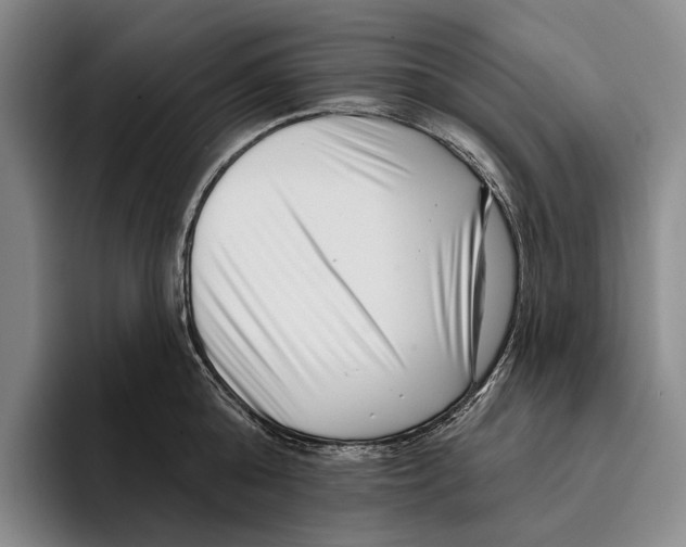 X0000096130808200802151312