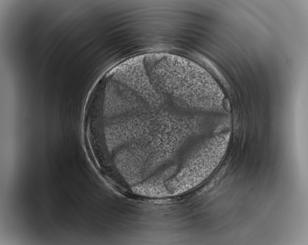 X0000096130810200802151312