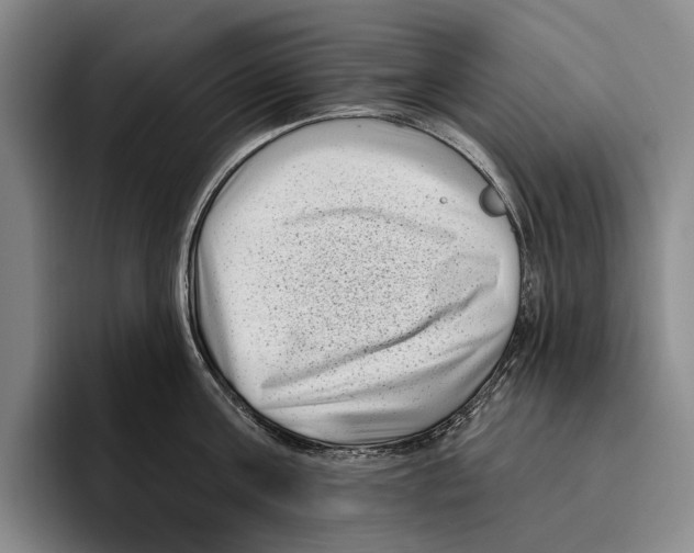 X0000096130811200802151312