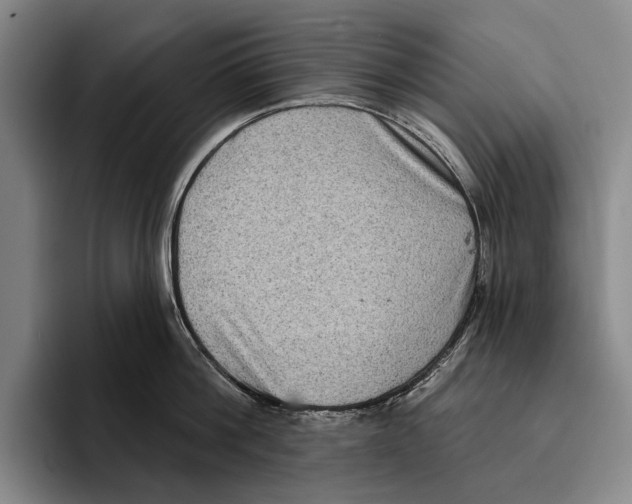 X0000096130812200802151312