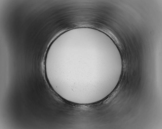 X0000096130814200802151312