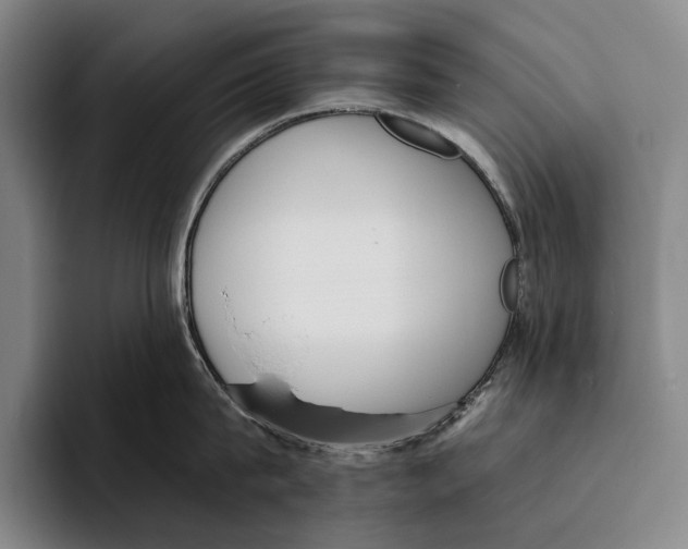 X0000096130815200802151312