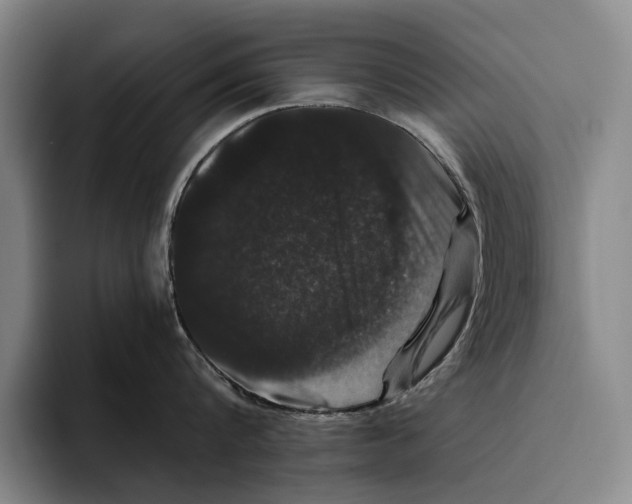 X0000096130816200802151312