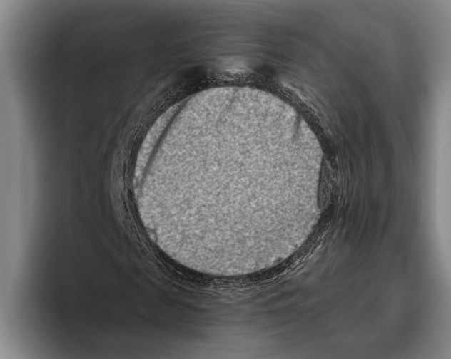 X0000096130817200802151312