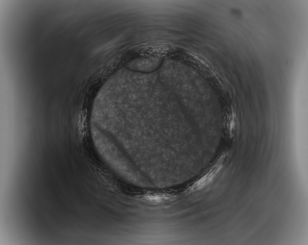 X0000096130818200802151312