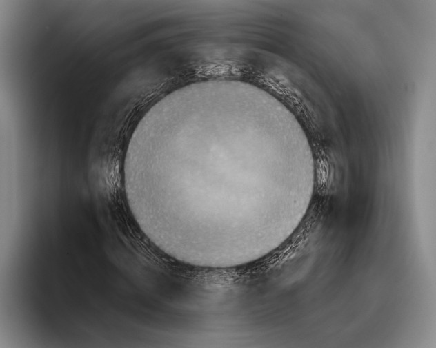 X0000096130820200802151312