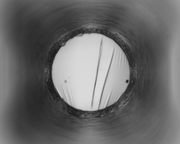 X0000096130821200802151312