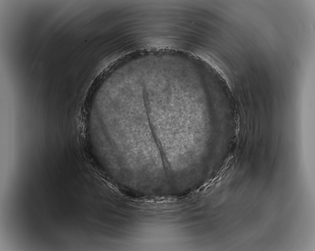 X0000096130823200802151312