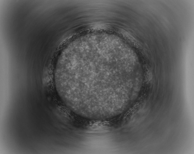 X0000096130824200802151312