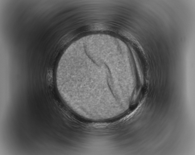 X0000096130825200802151312