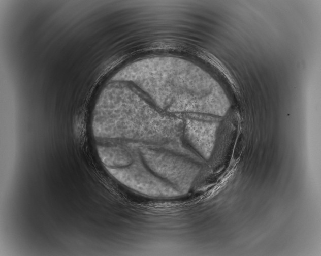 X0000096130826200802151312