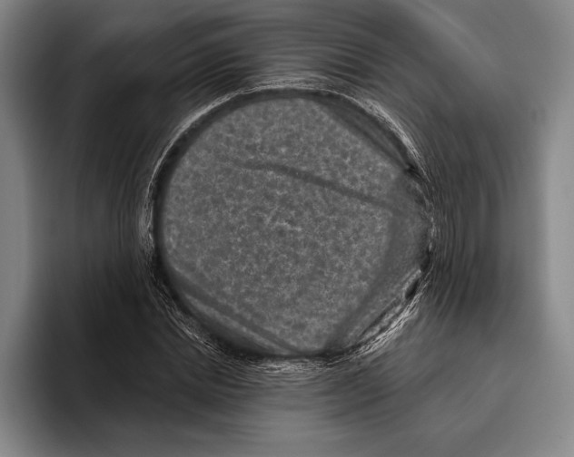 X0000096130830200802151312