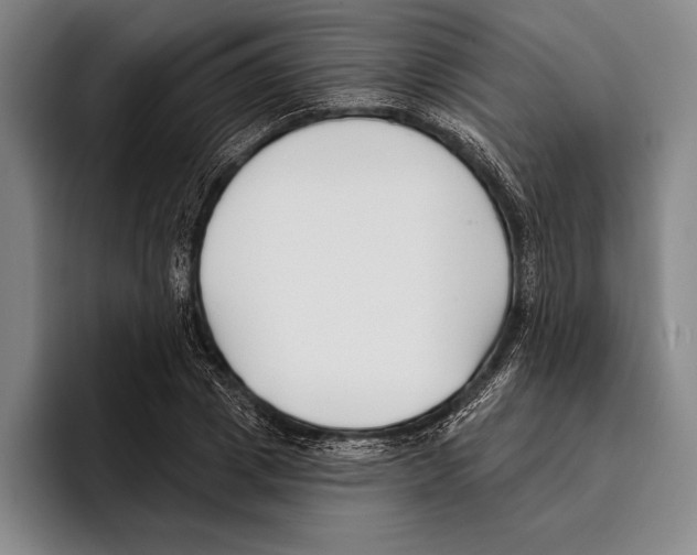 X0000096130833200802151312