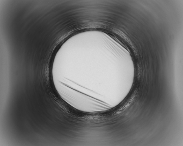 X0000096130834200802151312